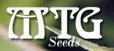 Heaven Scent (10pk) by MTG Seeds