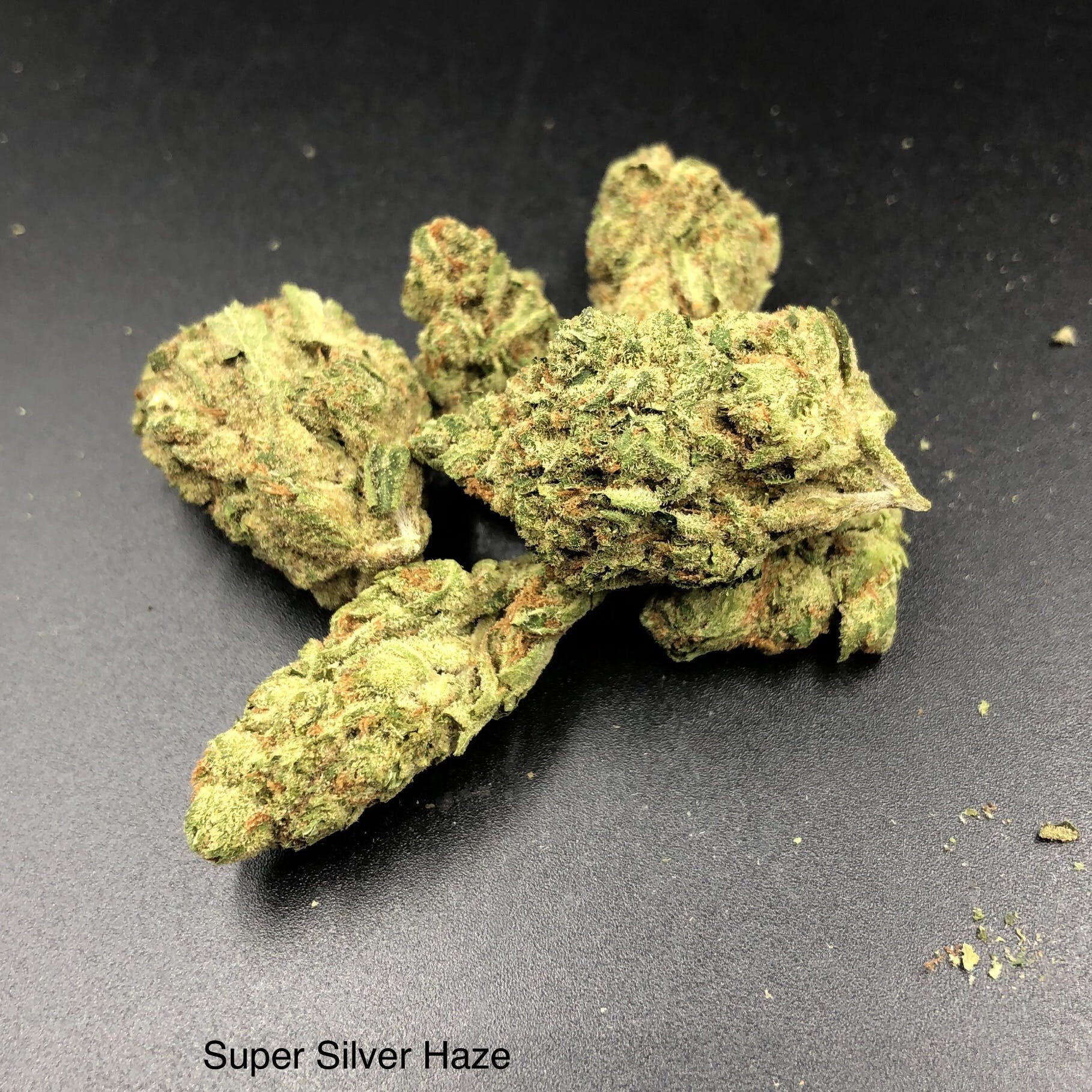 Herbl Super Silver Haze