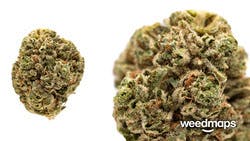 hybrid-herojuana-grams-only