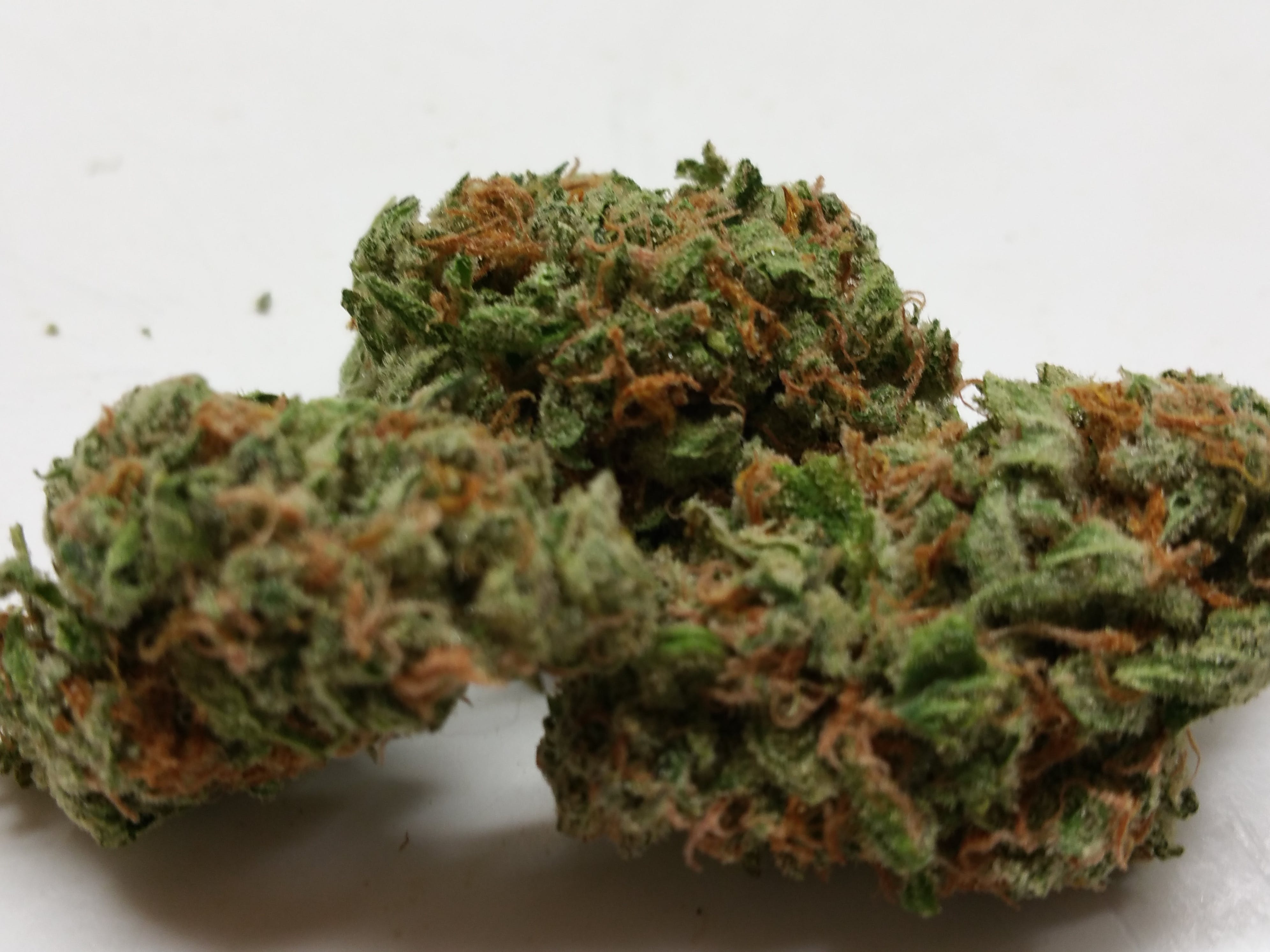 marijuana-dispensaries-the-green-source-lll-in-colorado-springs-herry-berry