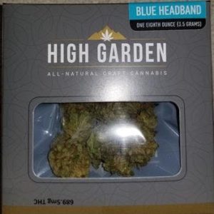 HG Blue Headband 1/8th