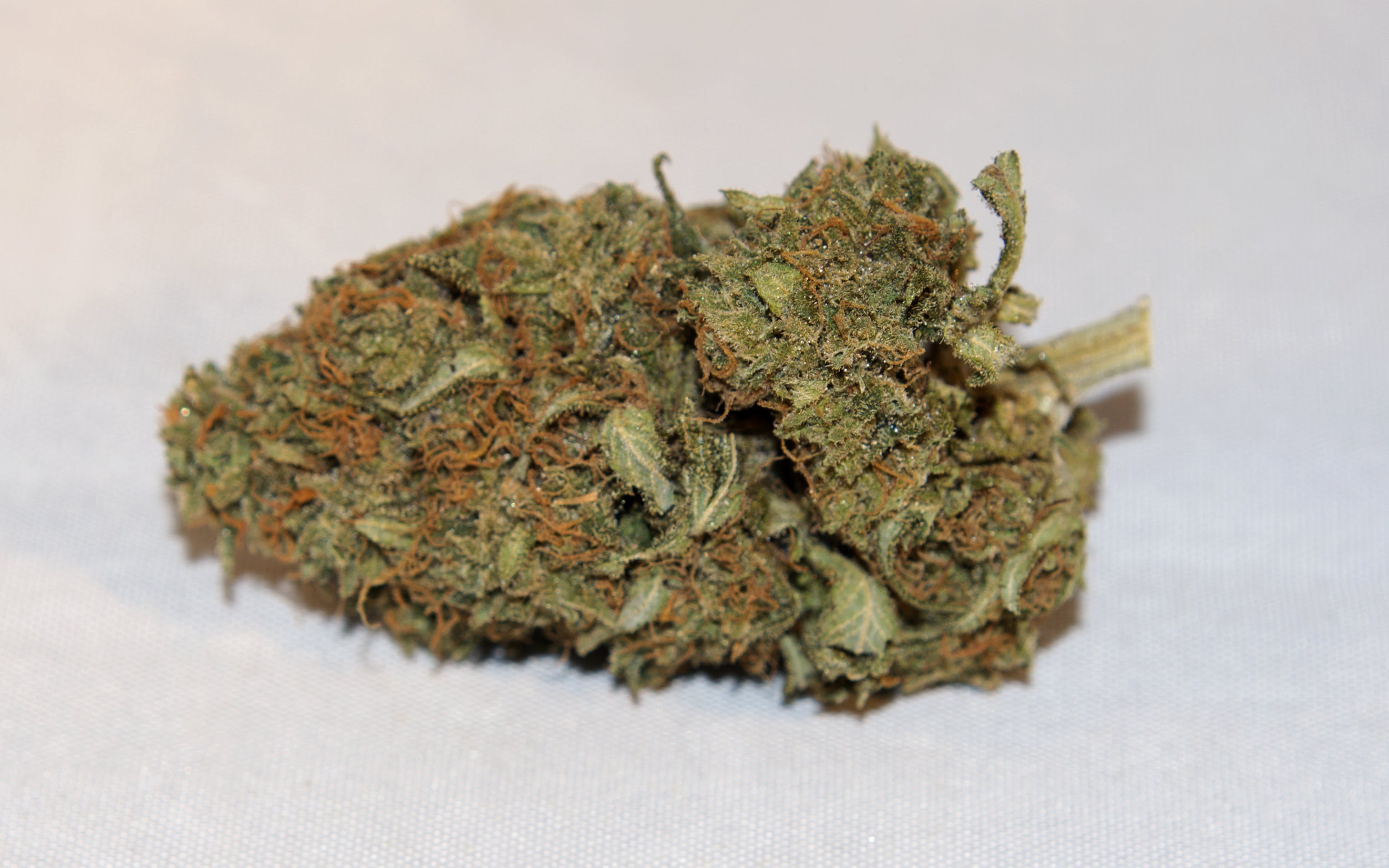 marijuana-dispensaries-5550-joliet-st-denver-high-cbd-cbox