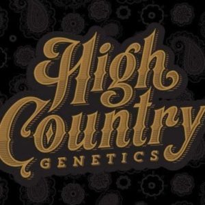 High Country Genetics - Pineapple Preserve