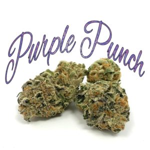 High Fidelity Purple Punch