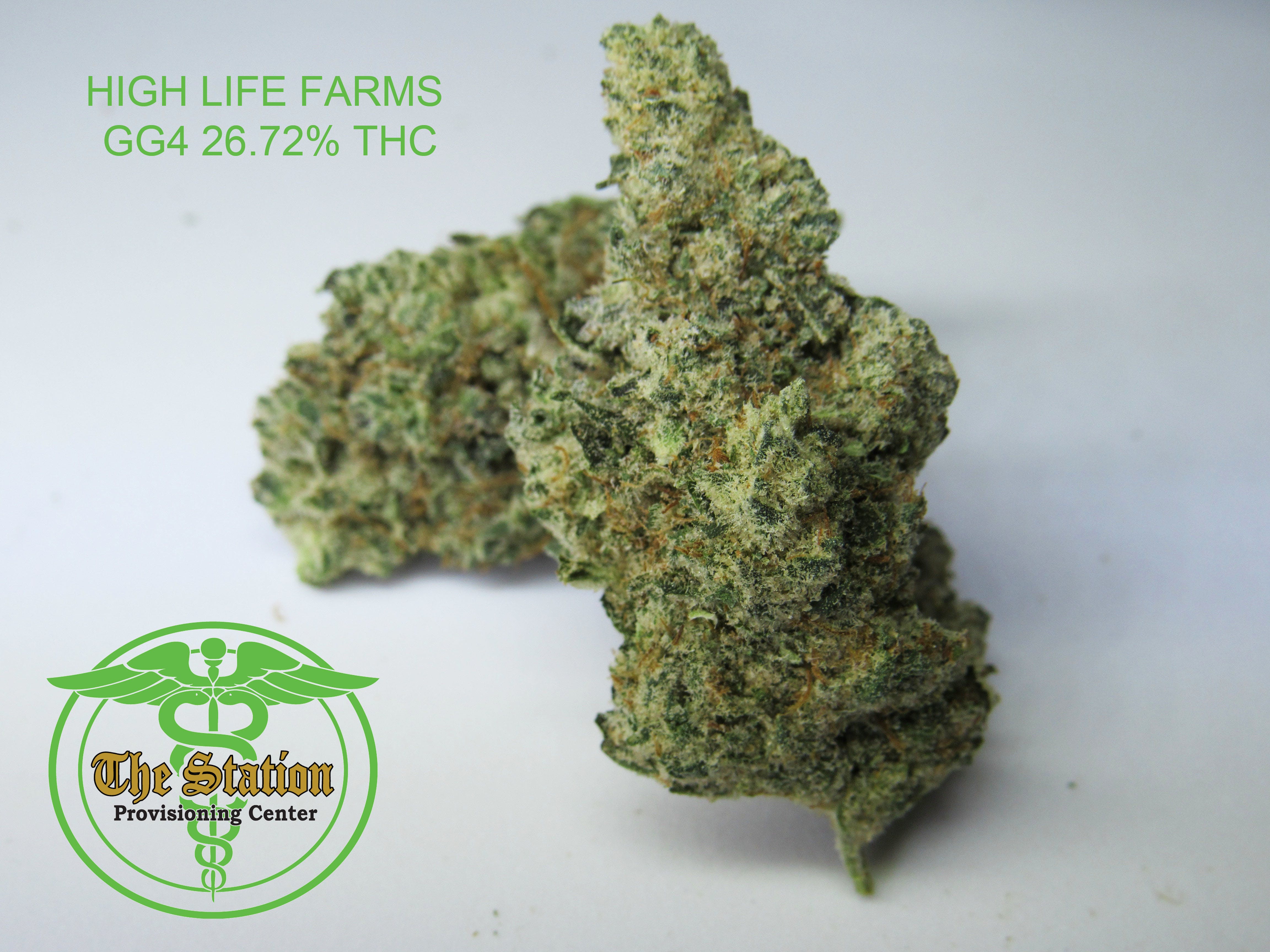 marijuana-dispensaries-the-station-in-vassar-high-life-farms-gg4