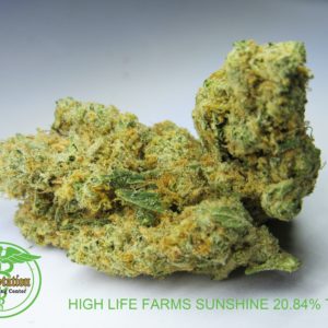 High Life Farms Sunshine Strain