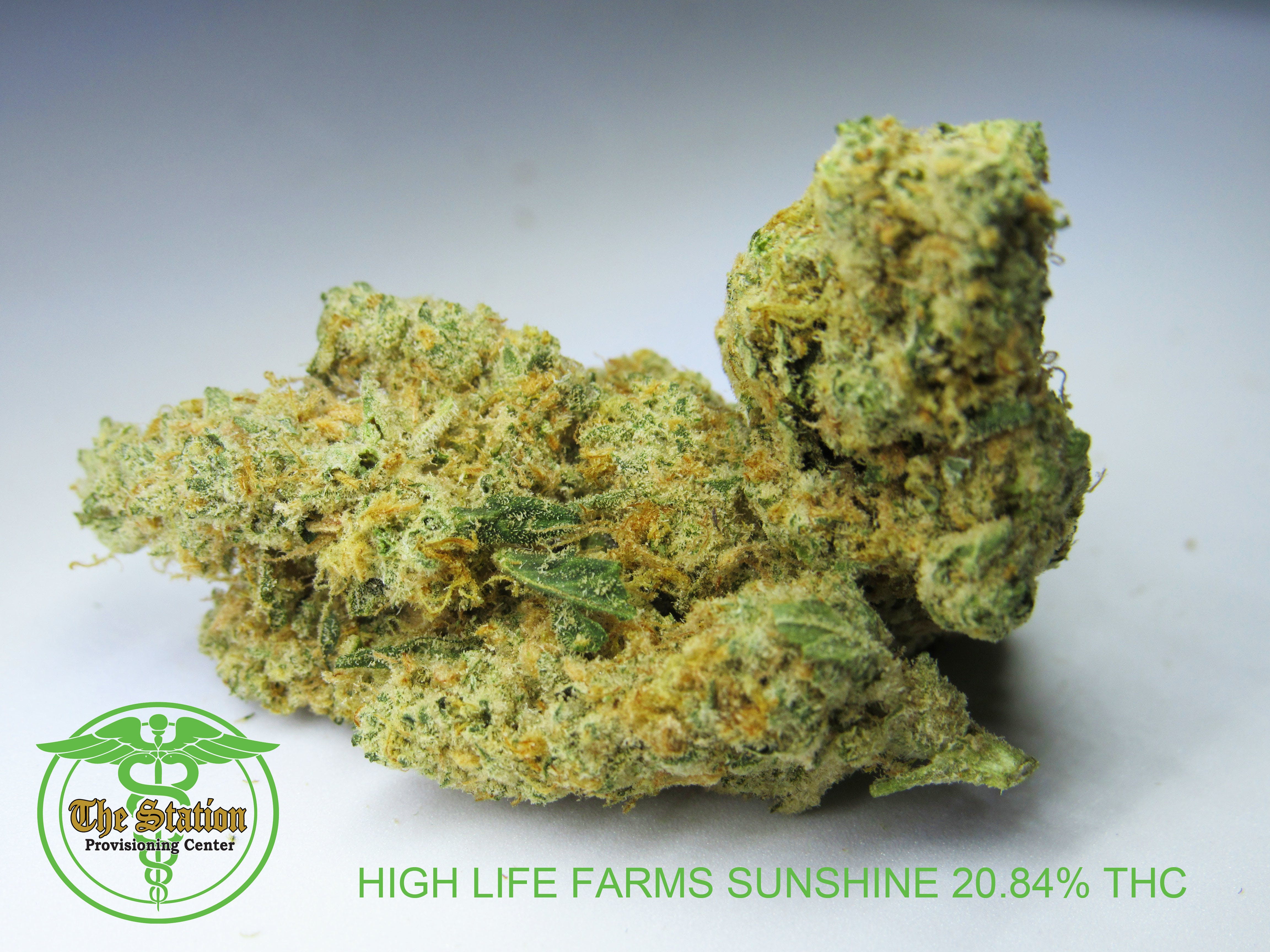 sativa-high-life-farms-sunshine-strain