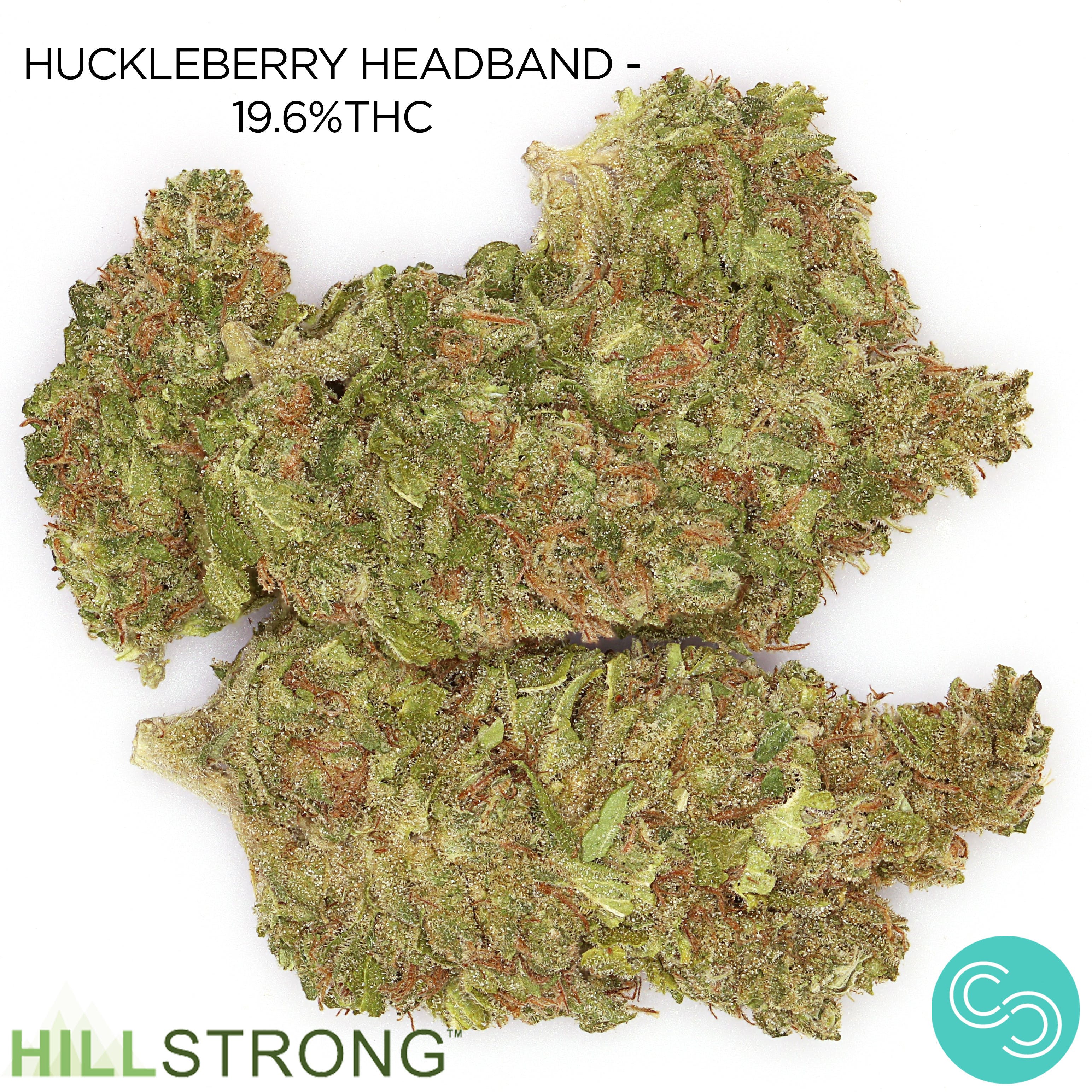 Hillstrong - Huckleberry Headband - 19.6%THC