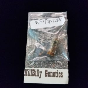 Hillybilly Genitics Seeds 12pk