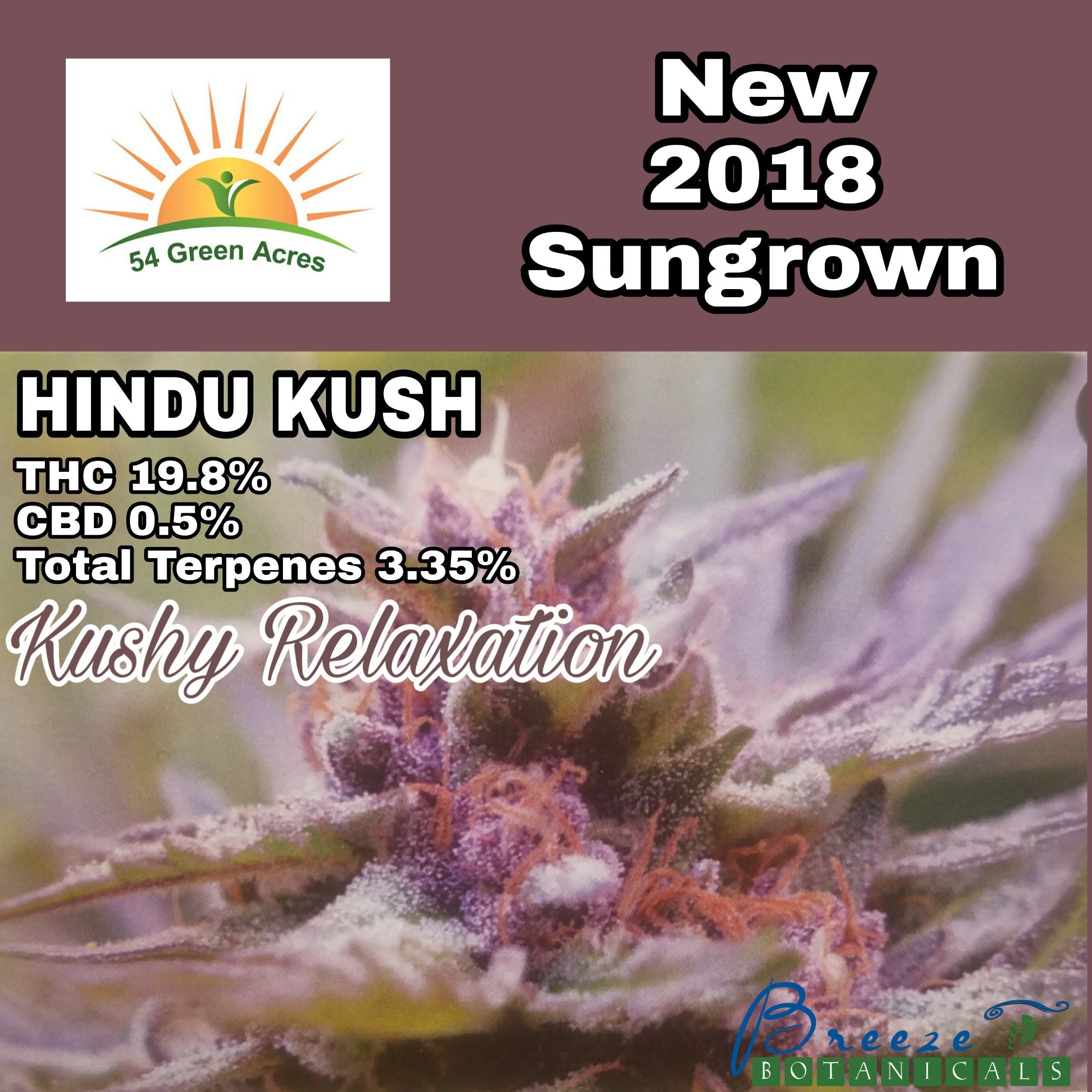 Hindu Kush Sungrown - 54 Green Acres