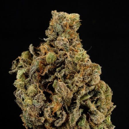 marijuana-dispensaries-the-healing-center-thc-in-needles-holl-cherry-pie-x-chemdawg-4