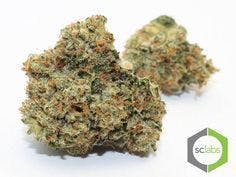 marijuana-dispensaries-114-n-brookhurst-st-anaheim-honey-cocaine-og-private-reserve
