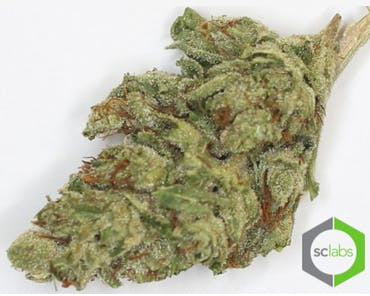 marijuana-dispensaries-13659-magnolia-ave-corona-hot-glue-premium-5g-40-2430