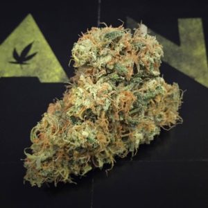 House Grown: Golden Goat - Tax Included