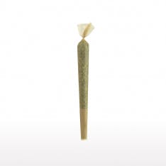 House Pre-rolled Joint