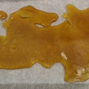 HOUSE SHATTER- CANDY JACK