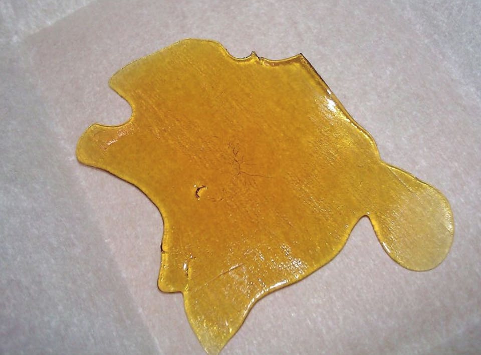 wax-house-shatter-mimosa