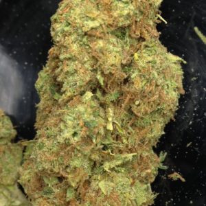 House Strain: Golden Goat - Tax Included