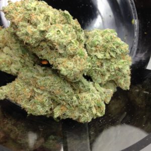 House Strain: Snowdawg - Tax Included