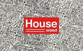 marijuana-dispensaries-mary-janes-hollywood-in-los-angeles-house-weed-agent-orange