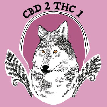 Howl's CBD Tincture - 2:1