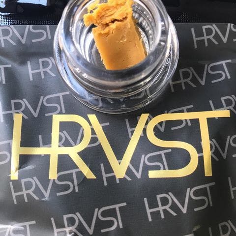 Hrvst Concentrates 1g