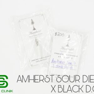 [[HSO]] - Amherst Sour D X Black D.O.G. (R)
