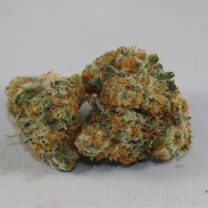 Huckleberry Indoor by Talking Trees Farms