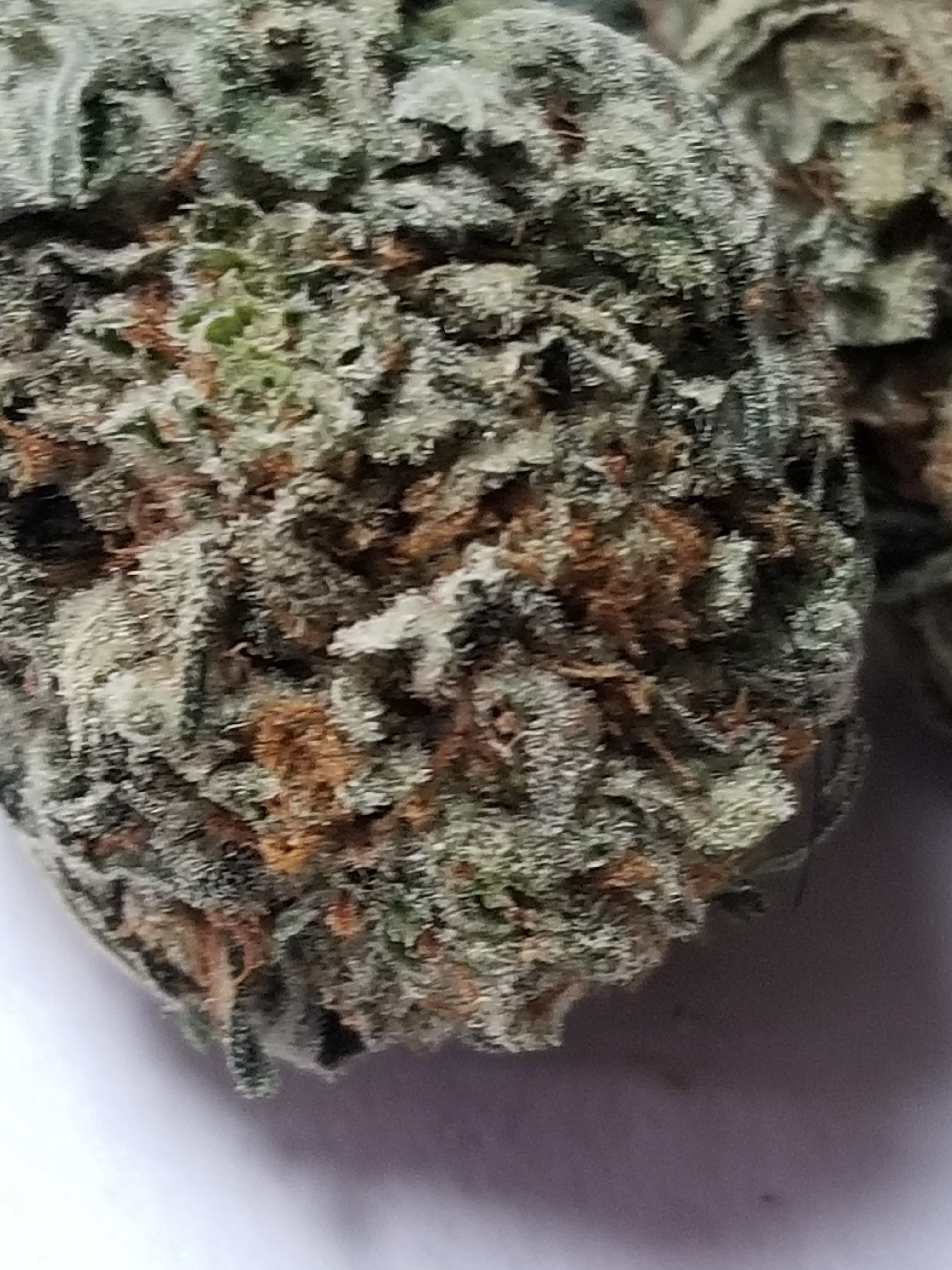 marijuana-dispensaries-2285-south-santa-fe-231-vista-huckleberry-kush