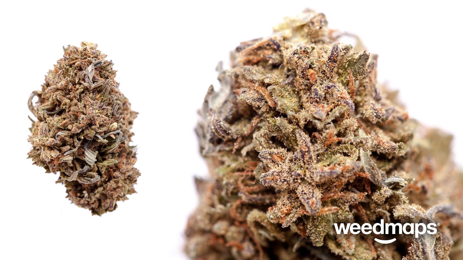marijuana-dispensaries-new-amsterdam-organics-in-denver-huckleberry