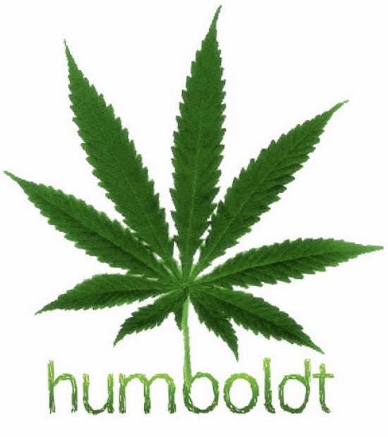 Humboldt Highline | Lemonade