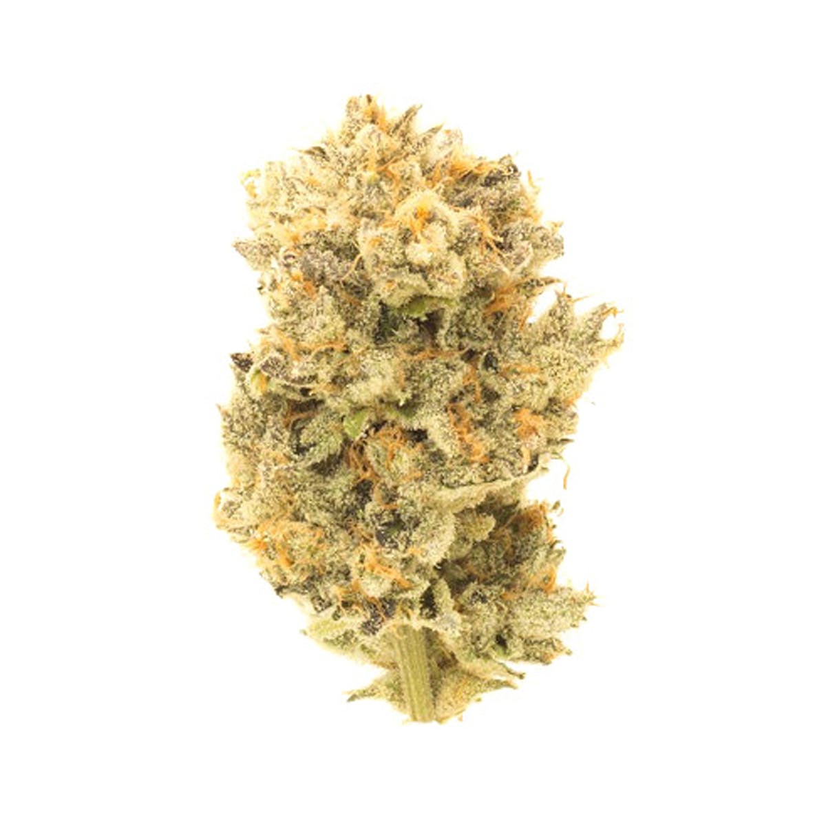 marijuana-dispensaries-culta-in-baltimore-humboldt-legacy-og-by-culta