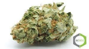 marijuana-dispensaries-12581-venice-blvd-los-angeles-humboldt-og