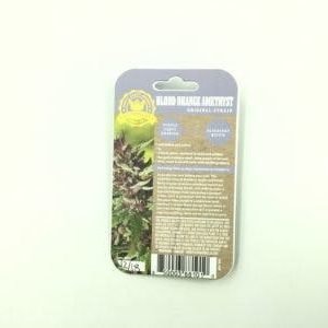 Humboldt Seed Co. - Blood Orange Amethyst (20 Pack)