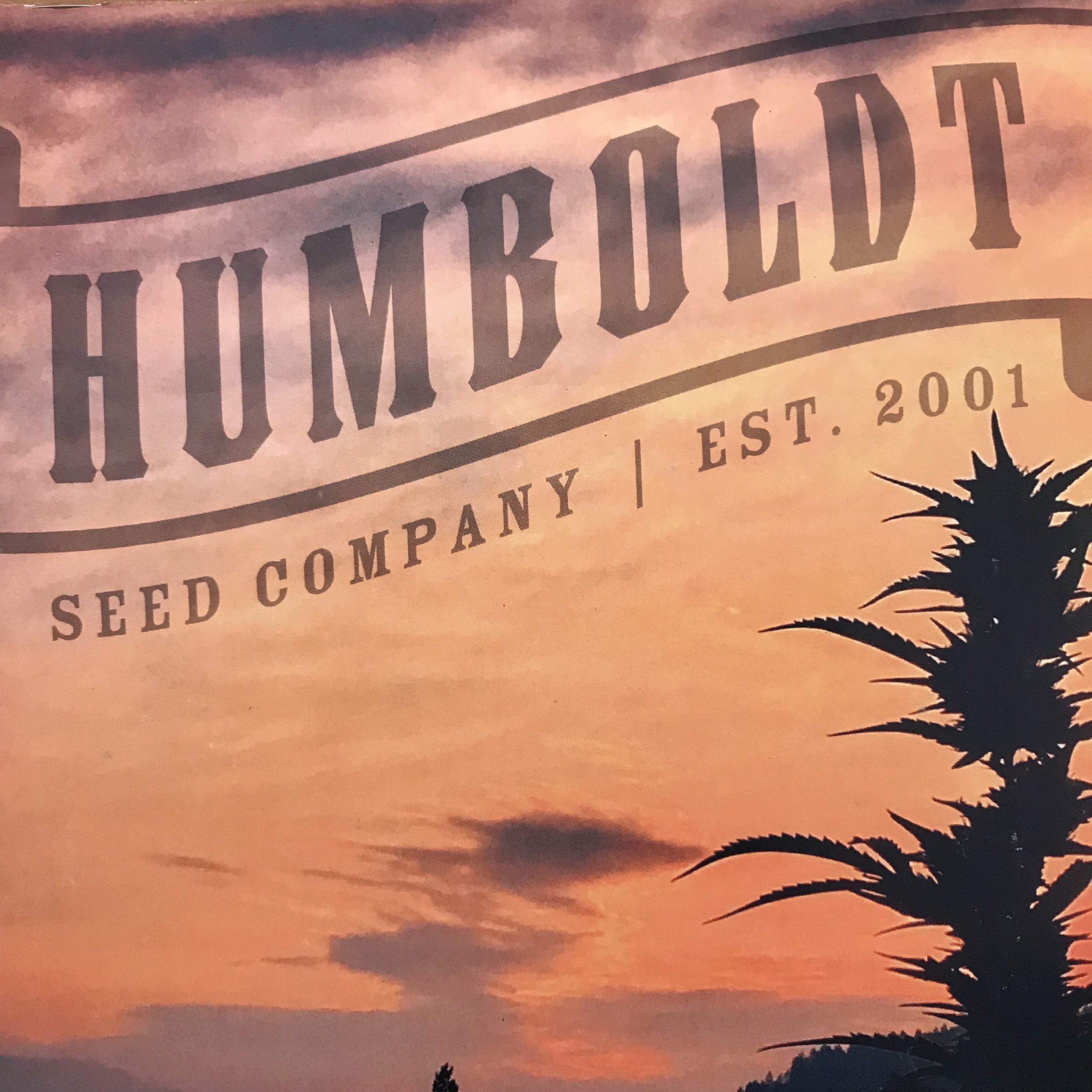 Humboldt Seed Company - Feminized Seeds