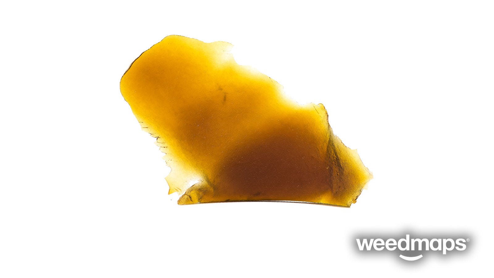 concentrate-hush-afghan-shatter