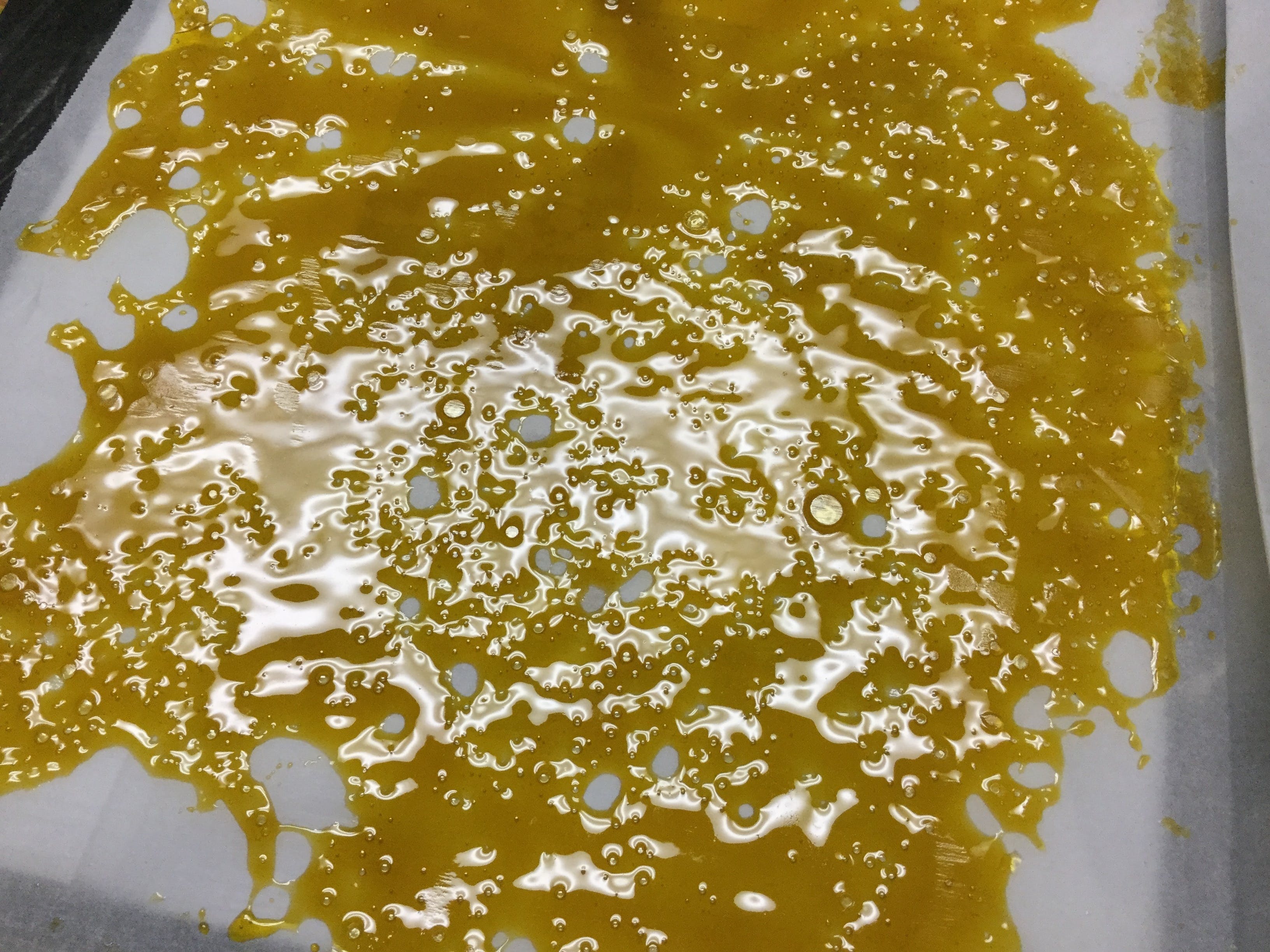 concentrate-hybrid-concentrate