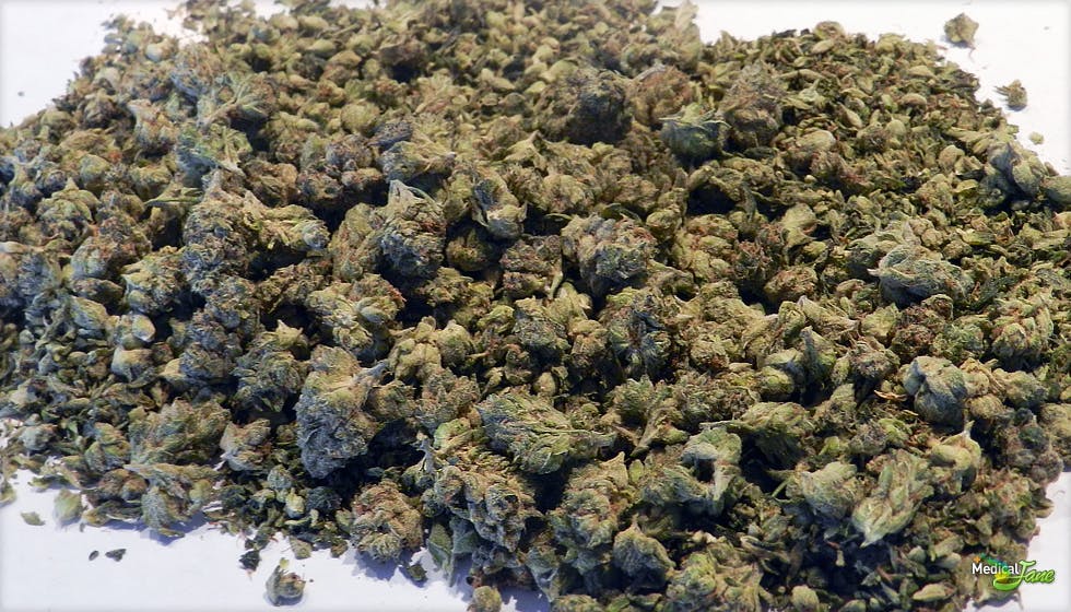 marijuana-dispensaries-fcc-florence-canna-clinic-in-los-angeles-hybrid-mix