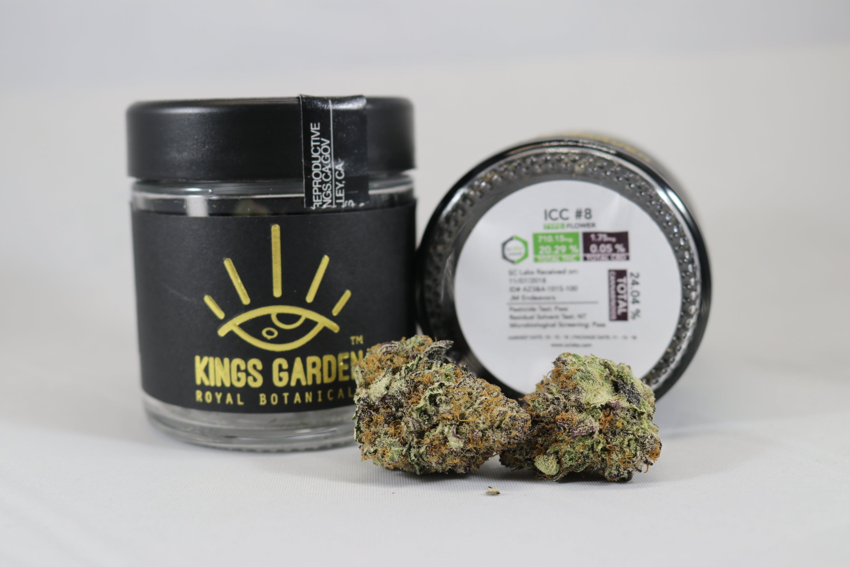 indica-ice-cream-cake-by-kings-garden