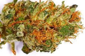 marijuana-dispensaries-11638-victory-blvd-north-hollywood-iii-og-top-shelf