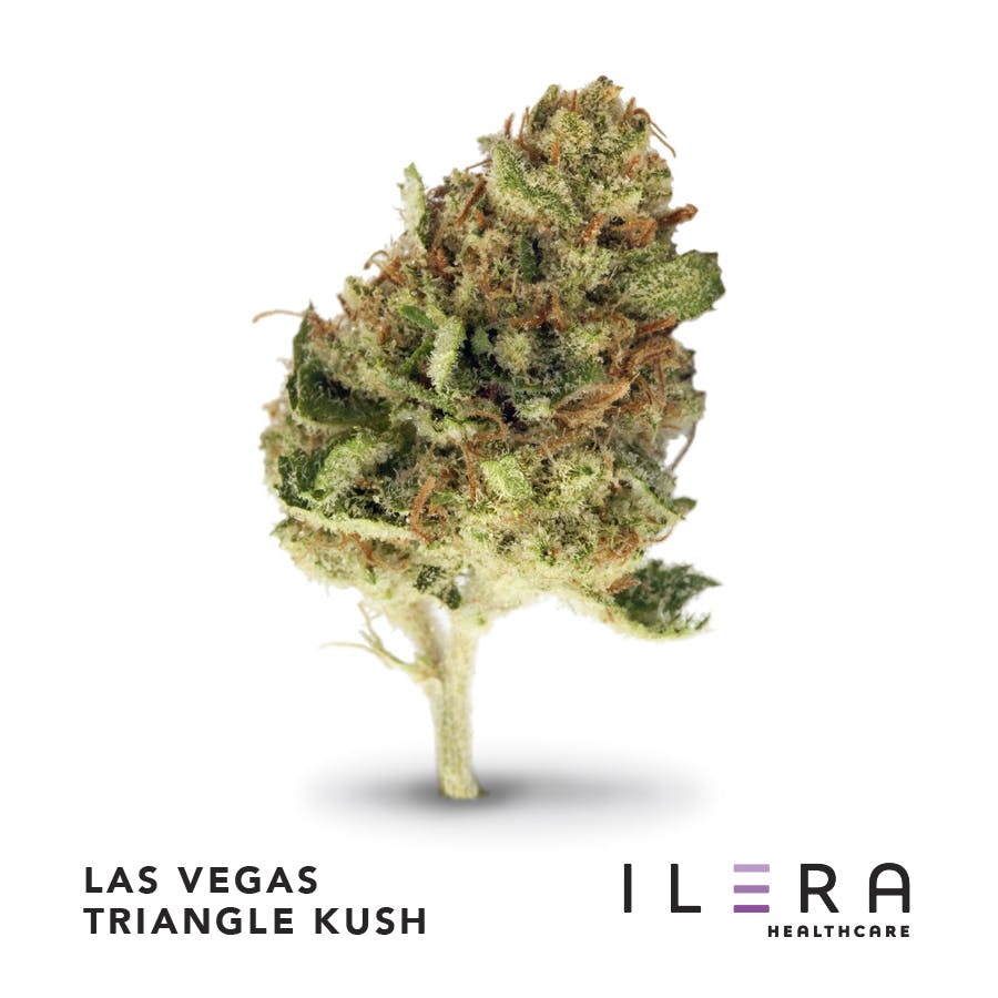 Ilera - Las Vegas Triangle Kush