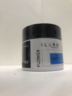 Ilera - Tiger's Milk Flower