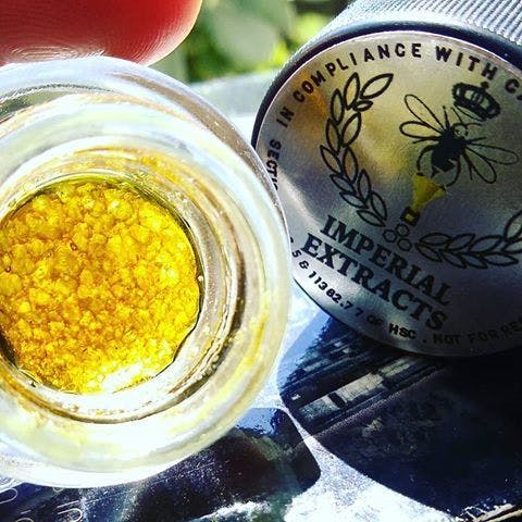 IMPERIAL EXTRACTS- KUSH CO OG