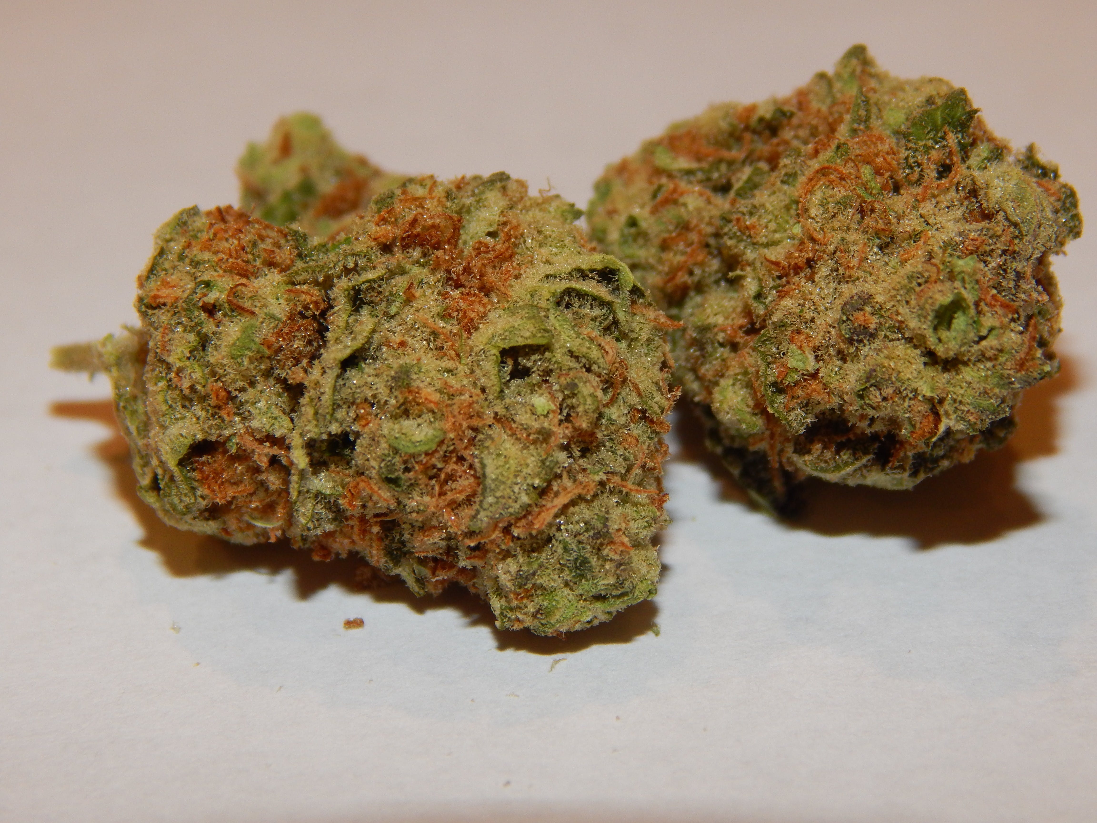 marijuana-dispensaries-headmaster-mmj-in-colorado-springs-incredible-bulk