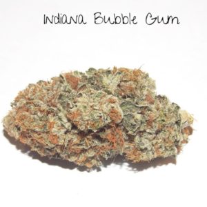 Indiana Bubble Gum