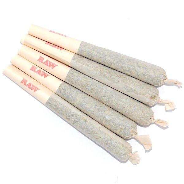 indica joints #2