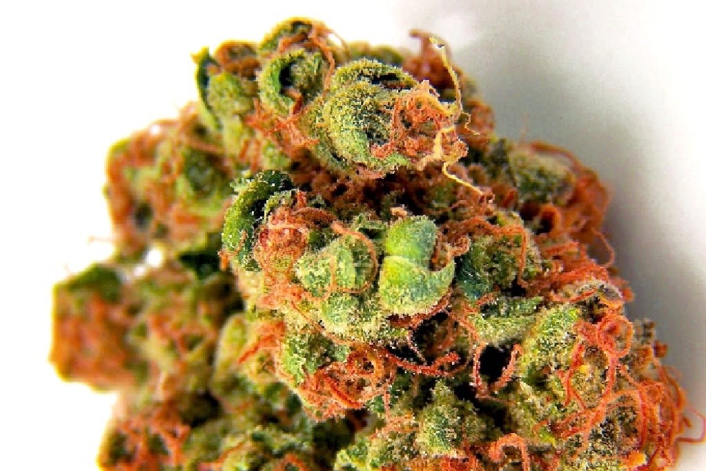 marijuana-dispensaries-the-healing-center-thc-in-needles-infinity-cherry-punch-3-5g