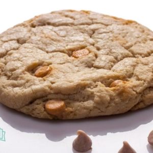 Infusion Cookie 100mg (Butterscotch - Indica Blend)