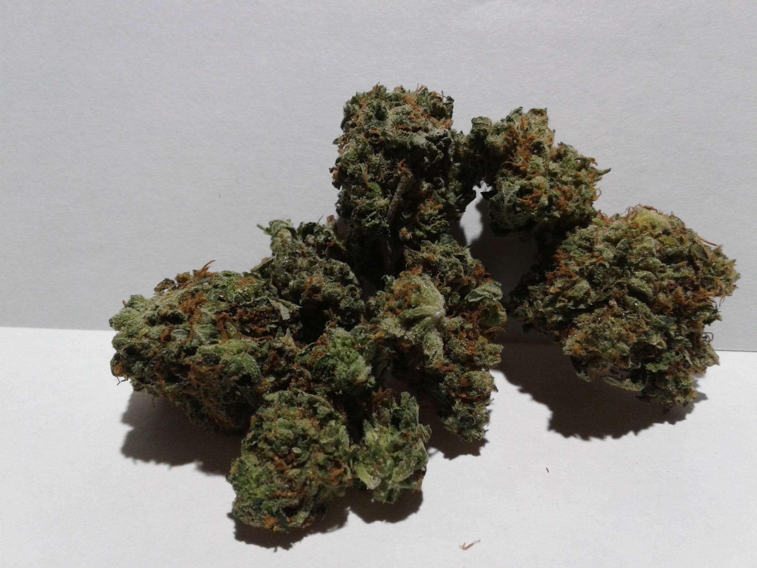 marijuana-dispensaries-hydrostone-bigbud-in-halifax-island-pink