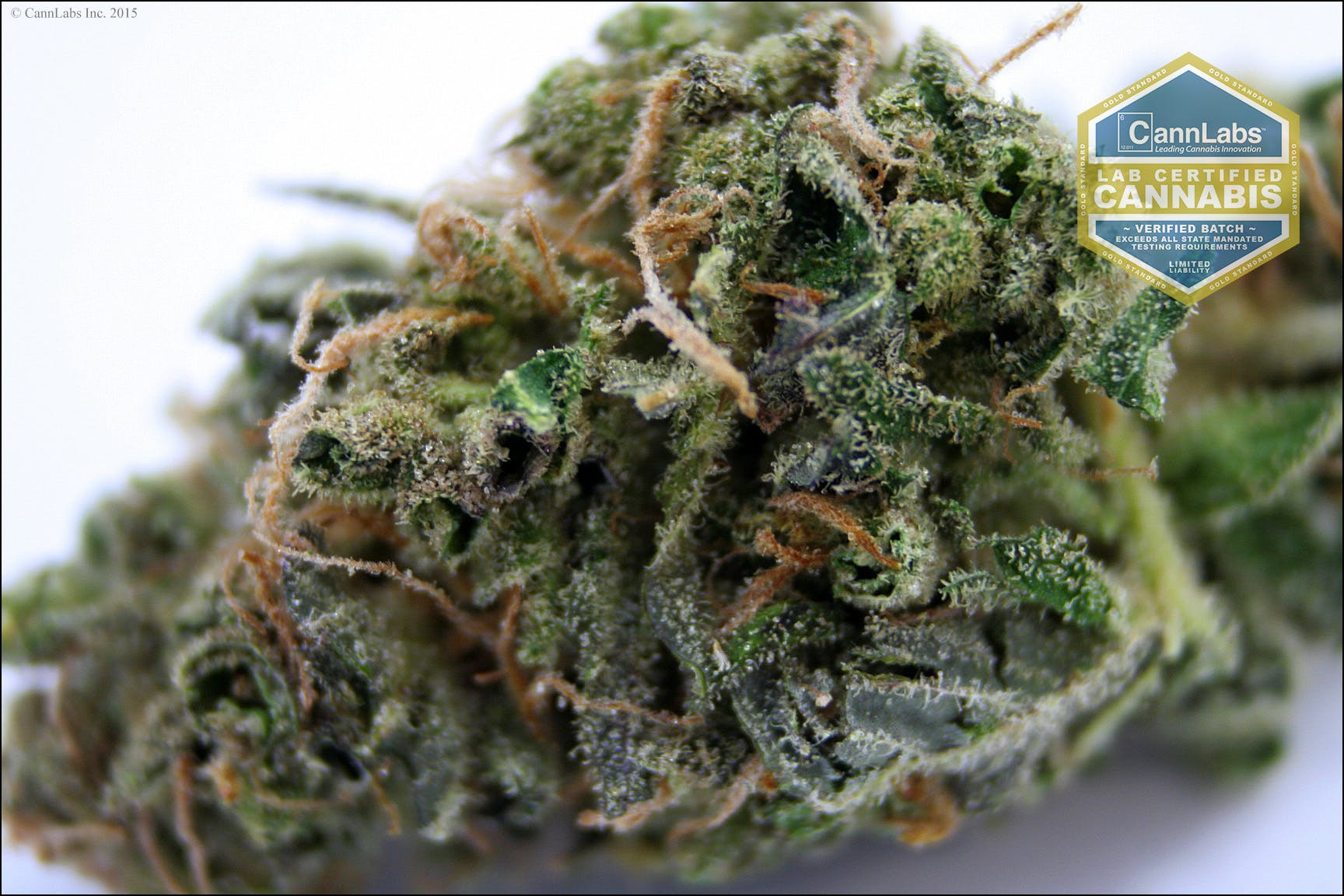 marijuana-dispensaries-natures-herbs-and-wellness-denver-in-denver-island-sweet-skunk